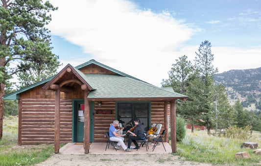 Should You Take Your Fiddle on Vacation?