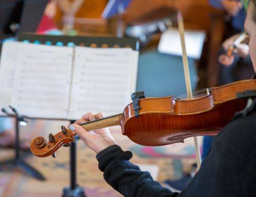 "What's All the Buzz About?" Troubleshooting Fiddle Buzz